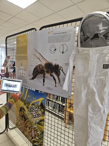 Exposition sur les abeilles à la médiathèque de Crêts en Belledonne