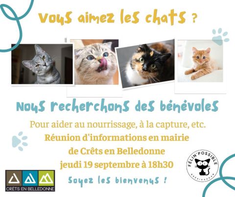 Bénévoles chats Crêts en Belledonne